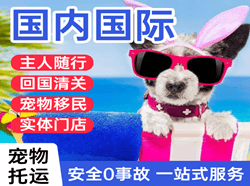 布拉克航空物流国际宠物托运 【国